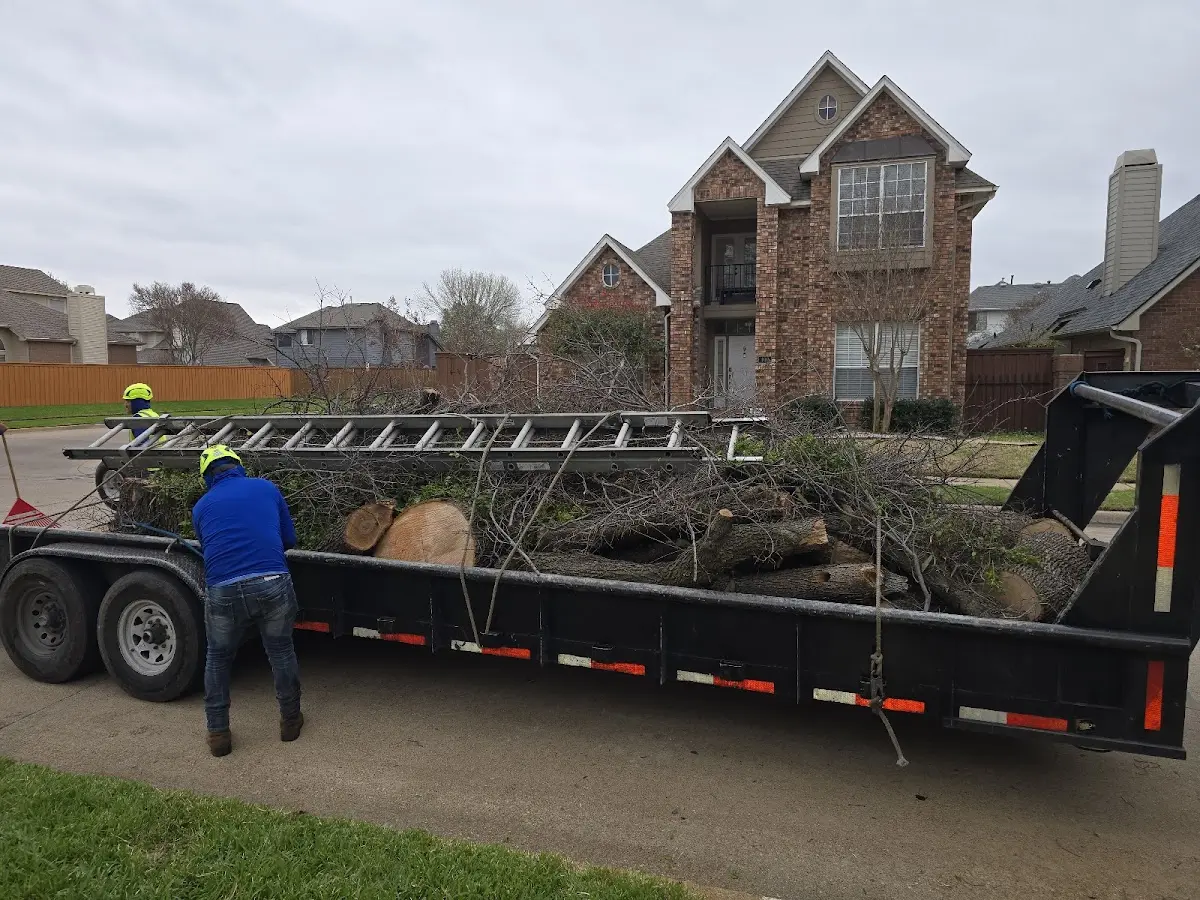 Expert Lot Clearing with proper safety equipment in Klemme